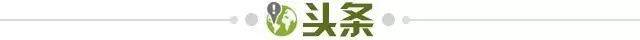 b19214d3-6a84-485c-a98a-e944406a5bd3.jpg@!img01